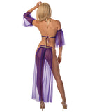 Sexy Belly Dancer Top, Arm Sleeves, Half Skirt & Panty Midnight Purple-gold O-s