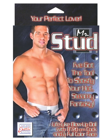 Mr Stud Love Doll