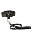 Bound By Diamonds Leash & Collar Set