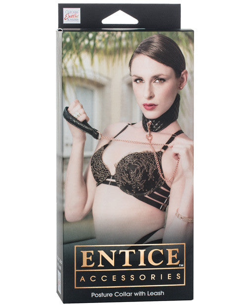 Entice Posture Collar W-leash