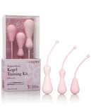 Inspire Weighted Silicone Kegel Training Kit