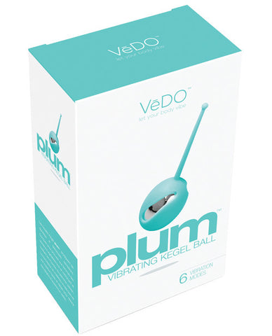 Vedo Plum Vibrating Kegel Ball - Tease Me Tuquoise